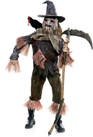 The Wicked of Oz Skarecrow Adult Costume - Click Image to Close