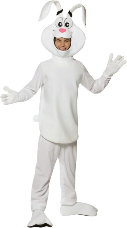 Trix Rabbit Adult Costume - Click Image to Close
