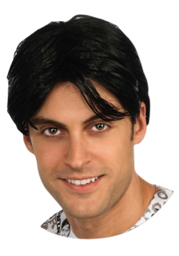 Charlie Sheen Wig - Click Image to Close