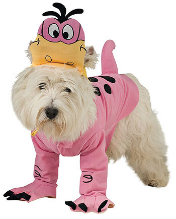 Dino Pet Costume - Click Image to Close