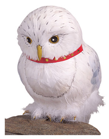 Hedwig Accessory - Click Image to Close