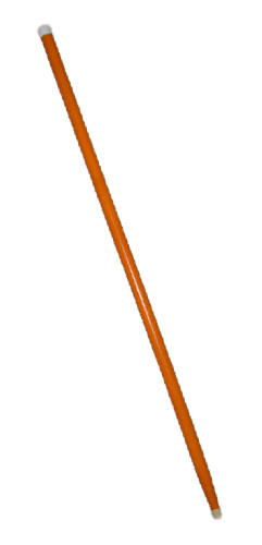 Orange Cane - Click Image to Close