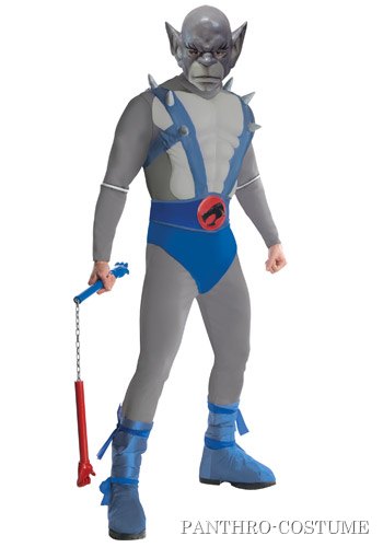 Mens Panthro Costume