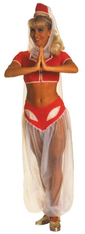 Jeannie Costume - Click Image to Close