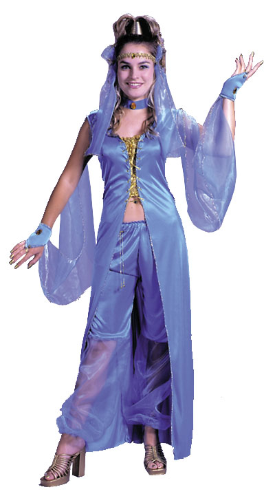 Dreamy Genie Adult Costume - Click Image to Close