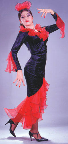 Flamenco Dancer Adult Costume