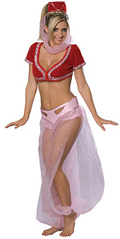 I Dream of Jeannie Costume - Click Image to Close