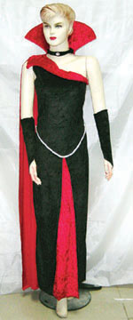 Blood Raven Adult Costume - Click Image to Close