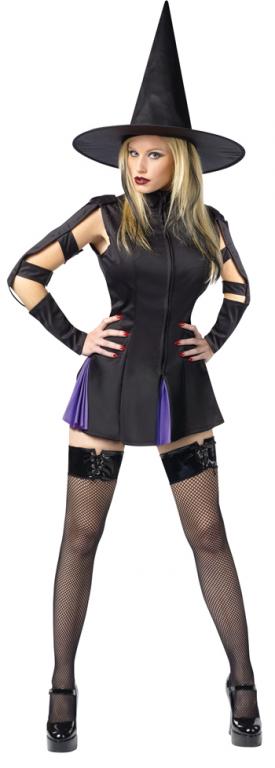 Wicked Witch Adult Costume - Click Image to Close