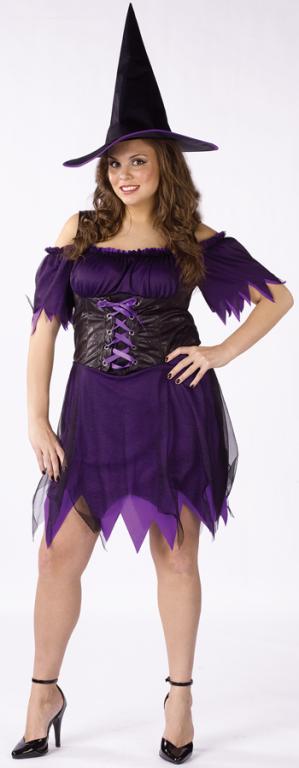 Dark Witch Plus Adult Costume - Click Image to Close