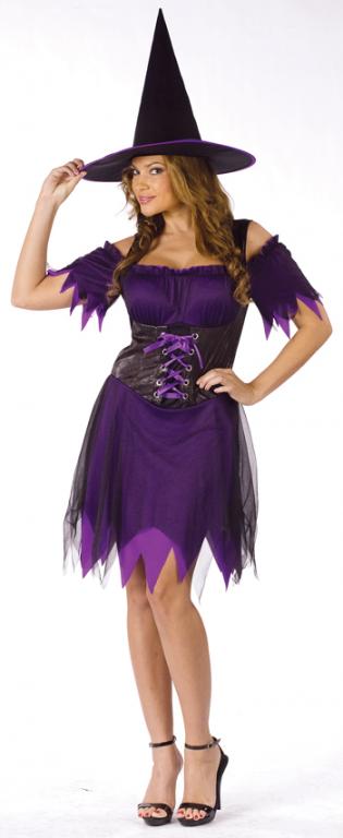 Dark Witch Adult Costume - Click Image to Close