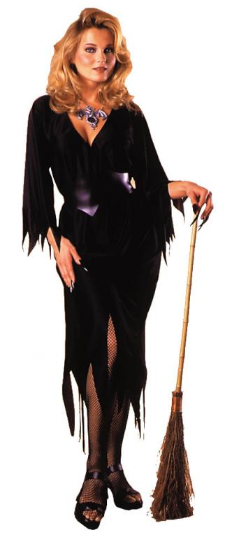 Bewitching Witch Adult Costume