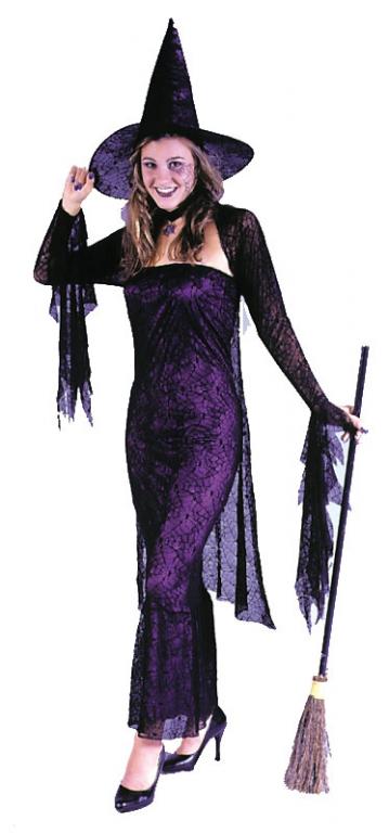 Black Widow Witch Adult Costume - Click Image to Close