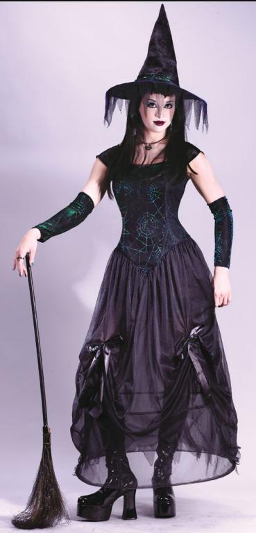 Bewitching Enchantress Adult Costume - Click Image to Close