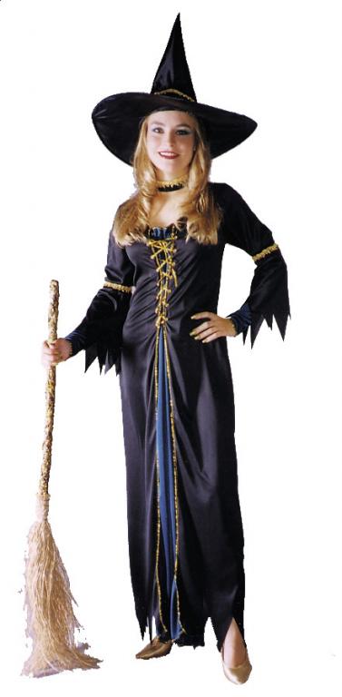 Renaissance Witch Adult Costume - Click Image to Close