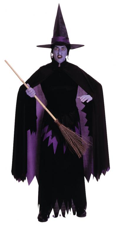 Wizard Of Oz Wicked Witch Of The West Adult Costume - Click Image to Close