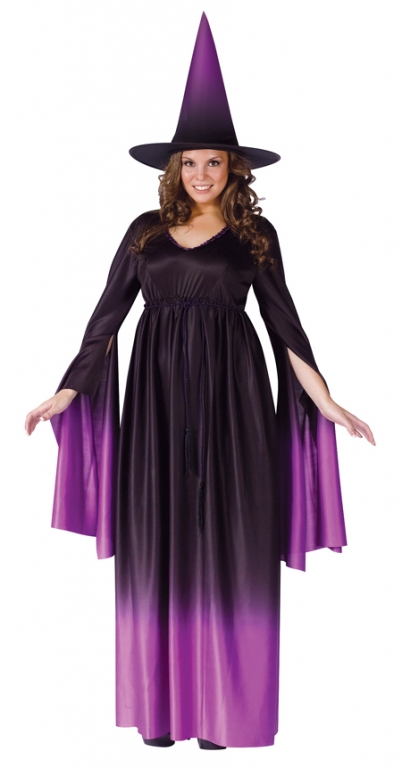 Magical Witch Plus Size Adult Costume - Click Image to Close