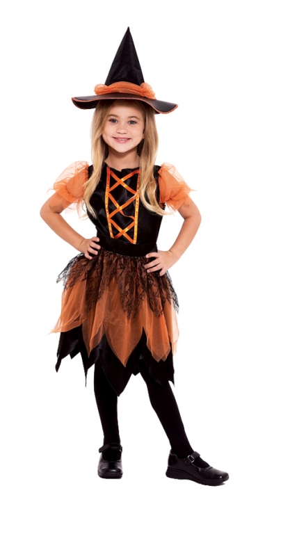 Pumpkin Patch Witch Child Costume Small - Click Image to Close