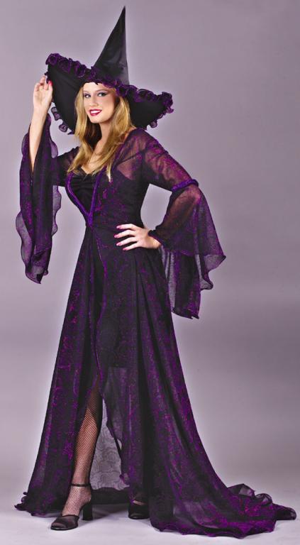 Shimmering Rose Witch Adult Costume - Click Image to Close