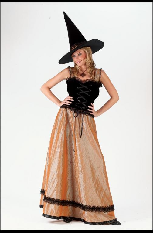 Elegant Witch Adult Costume - Click Image to Close