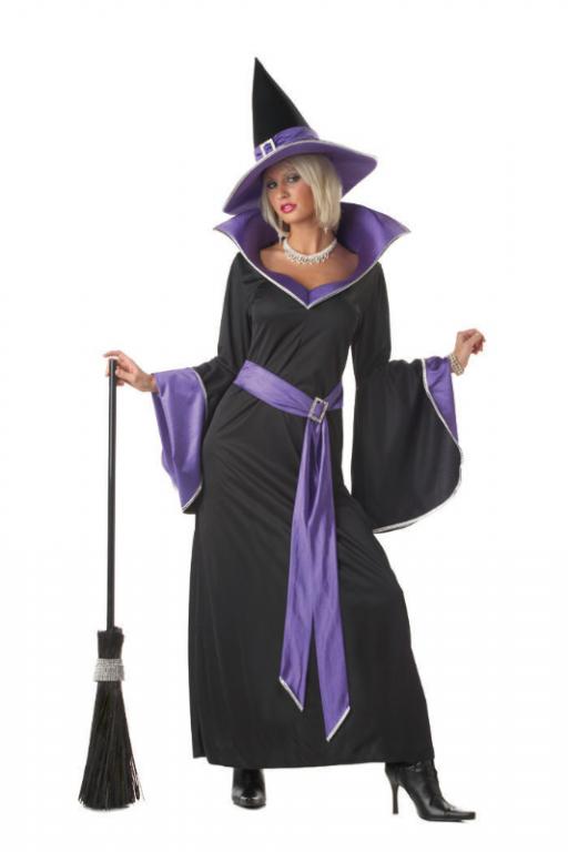 Incantasia Adult Costume - Click Image to Close