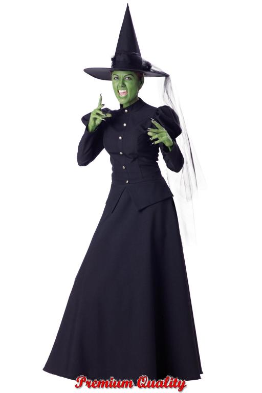 Wicked Witch Adult Costume - Click Image to Close