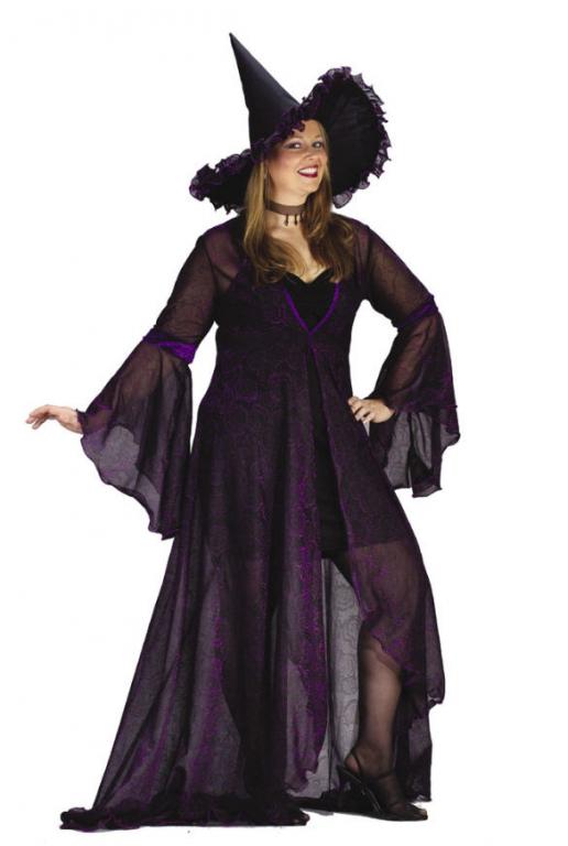 Shimmering Rose Witch Plus Size Adult Costume - Click Image to Close