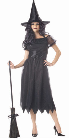 Witch Costume - Click Image to Close