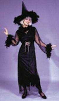 Feather Witch Adult Costume - Click Image to Close