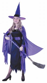 Shimmering Witch Adult Costume - Click Image to Close