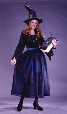 Velvet Storybook Witch Adult Costume - Click Image to Close