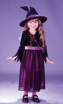 Storybook Witch Velvet Toddler Costume - Click Image to Close