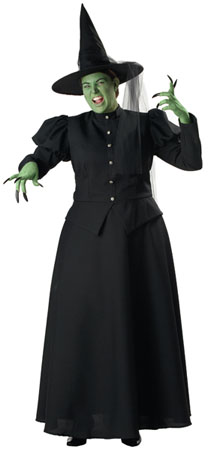 Wicked Witch Plus Size Costume - Click Image to Close