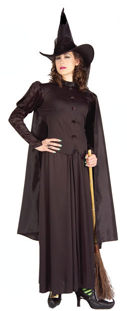 Classic Witch Adult Costume - Click Image to Close