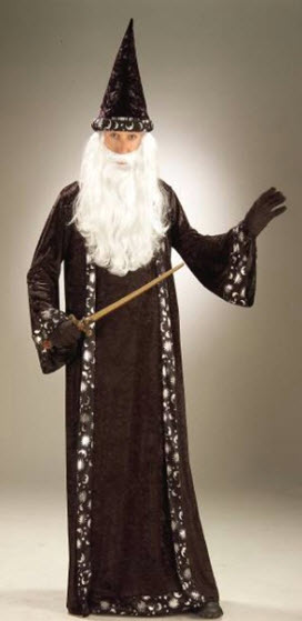 Wizard Adult Costume