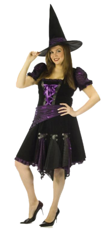 Witch Purple Punk Adult Plus Costume