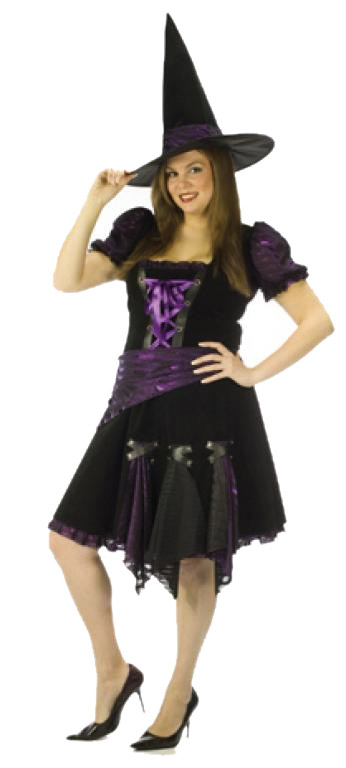 Witch Purple Punk Adult Plus Costume - Click Image to Close