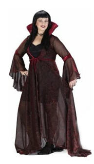 Witch Shimmering Rose Plus Size Adult Costume