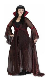 Witch Shimmering Rose Plus Size Adult Costume - Click Image to Close