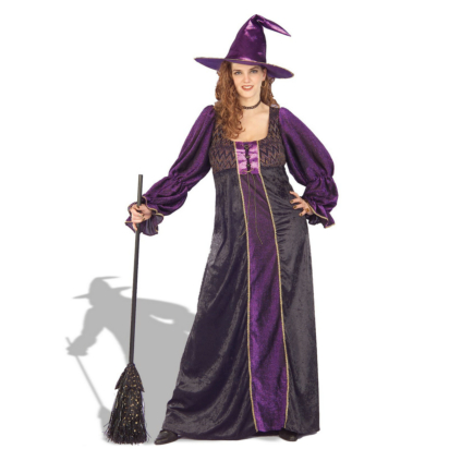Hocus Pocus Witch Plus Adult Costume - Click Image to Close