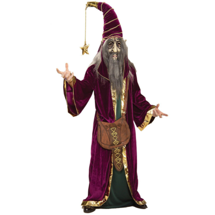 Wonderful Wizard Ultimate Adult Costume - Click Image to Close