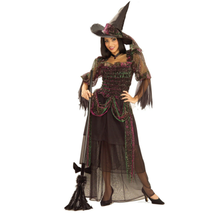 Bewitchingly Good Witch Adult Costume - Click Image to Close