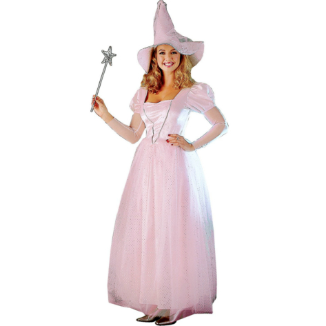 Good Witch Adult Costume
