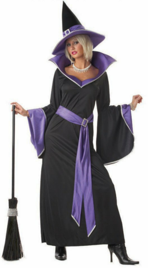 Incantasia The Glamour Witch Adult Costume - Click Image to Close