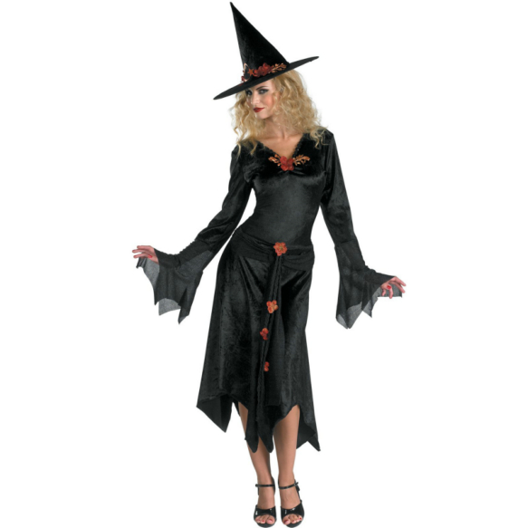 Sienna Rose Witch Adult Costume - Click Image to Close