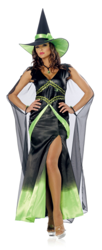 Fabulous Witch Green Adult Costume