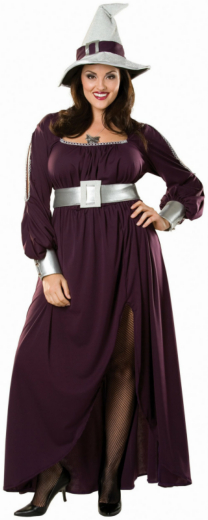 Amethyst Witch Adult Plus Costume