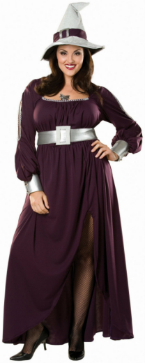 Amethyst Witch Adult Plus Costume - Click Image to Close