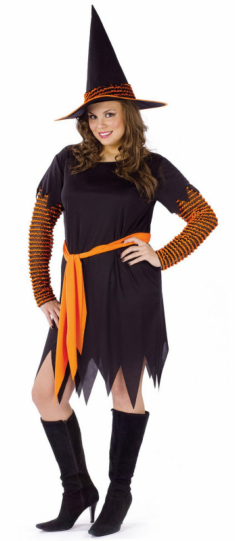 Pumpkin Patch Witch Adult Plus Costume