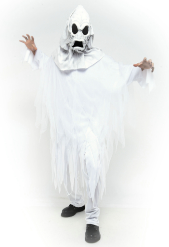 The Ghost Adult Costume - Click Image to Close